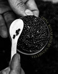 Kaviar Premium Selection by BosFood x Imperial Caviar Bos Food GmbH