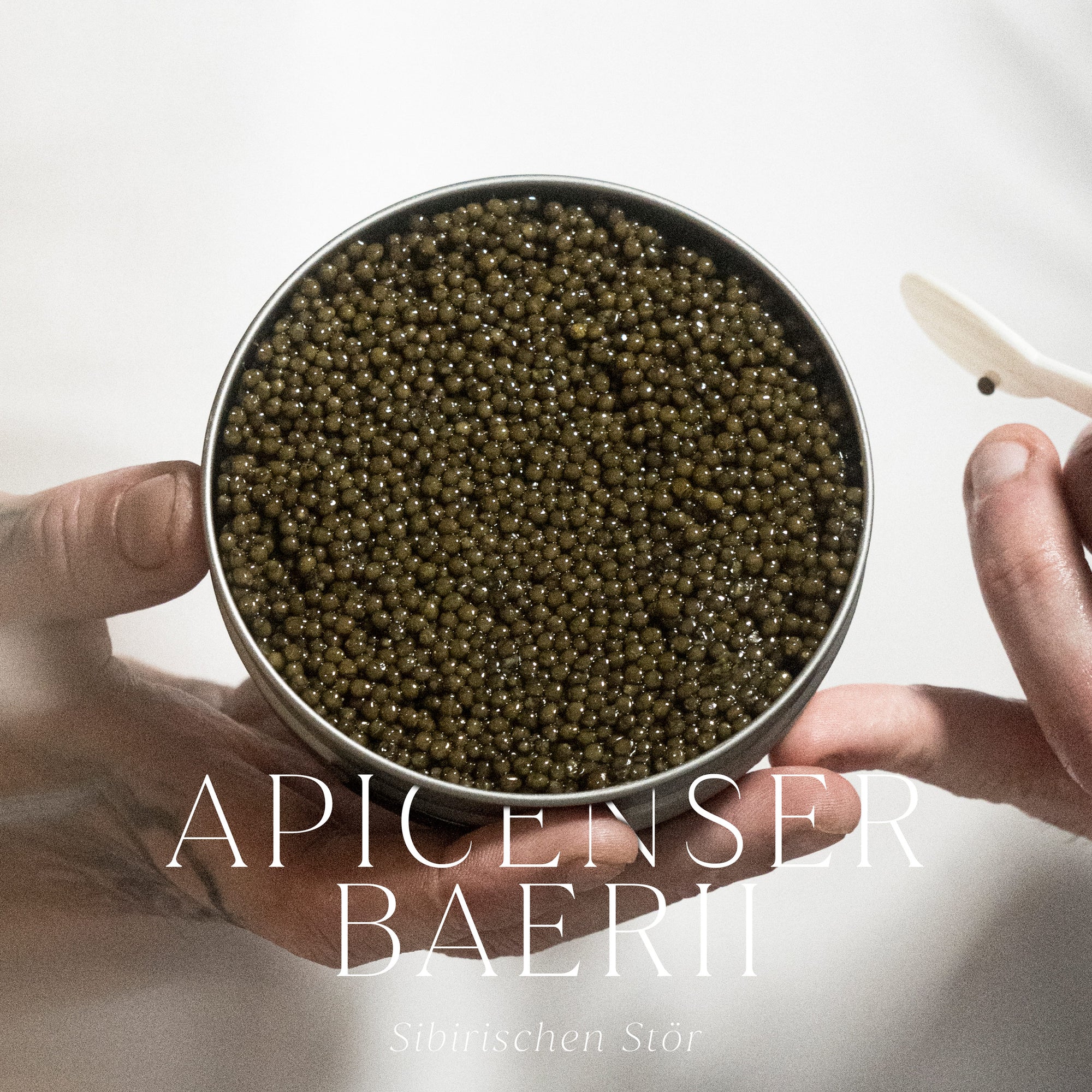 Kaviar Premium Selection by BosFood x Imperial Caviar Bos Food GmbH