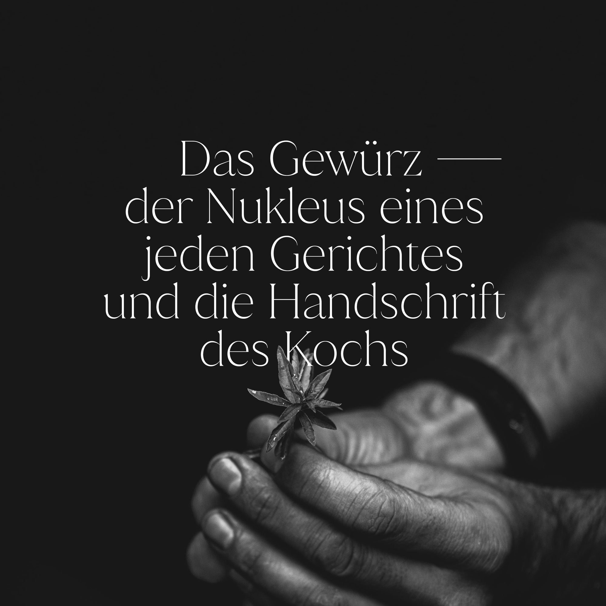 Signature Nº 1 - Geschenk Cube - Alex - inkl. Premium Zugang The Golden Circle
