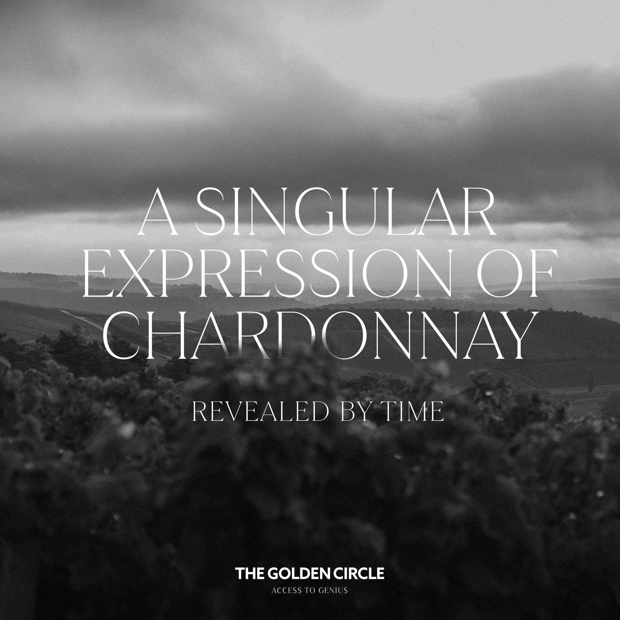 Chardonnay 120 limitiert, 2020, 0,75 l