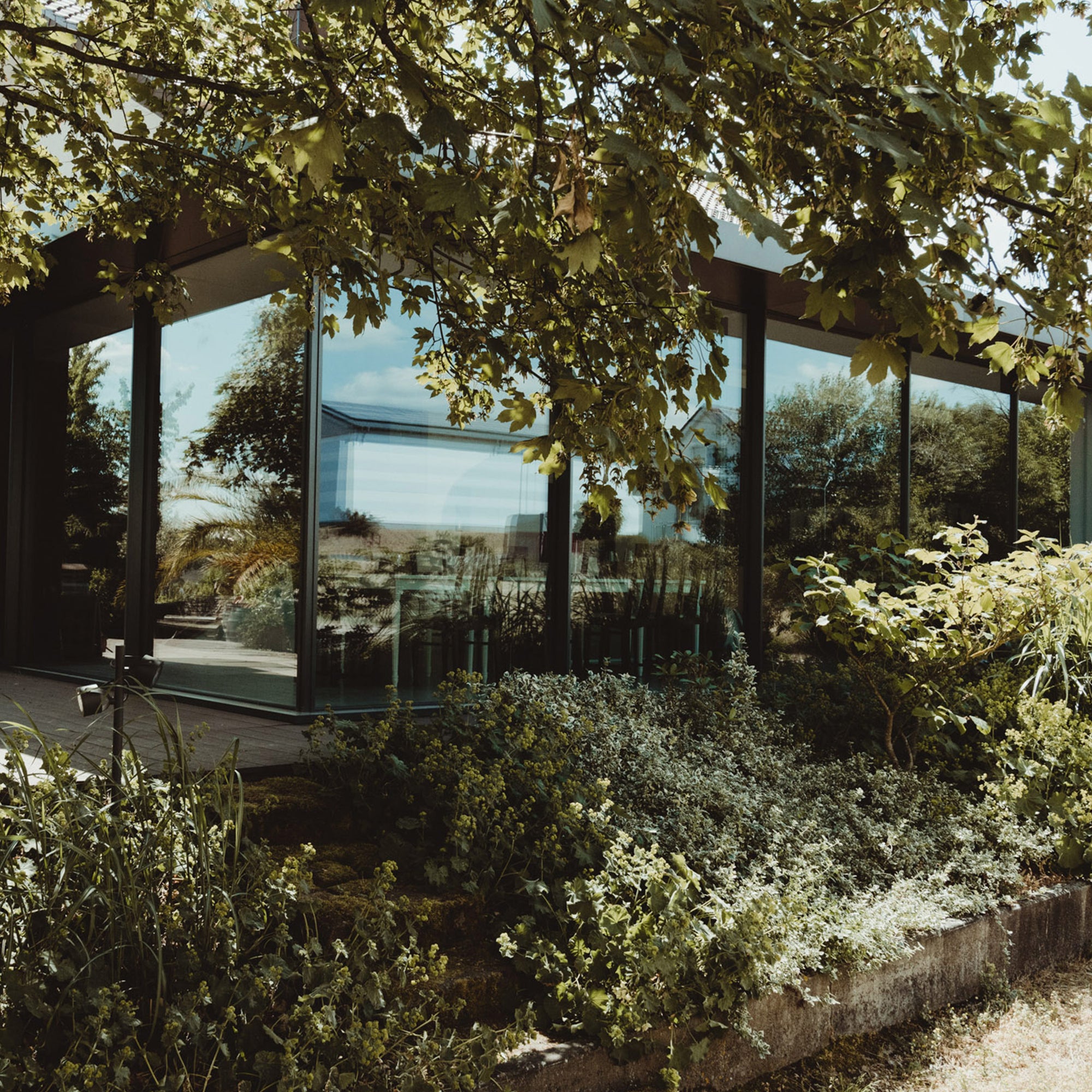 Chardonnay 120 Magnum limitiert, 2020, 1,5 l