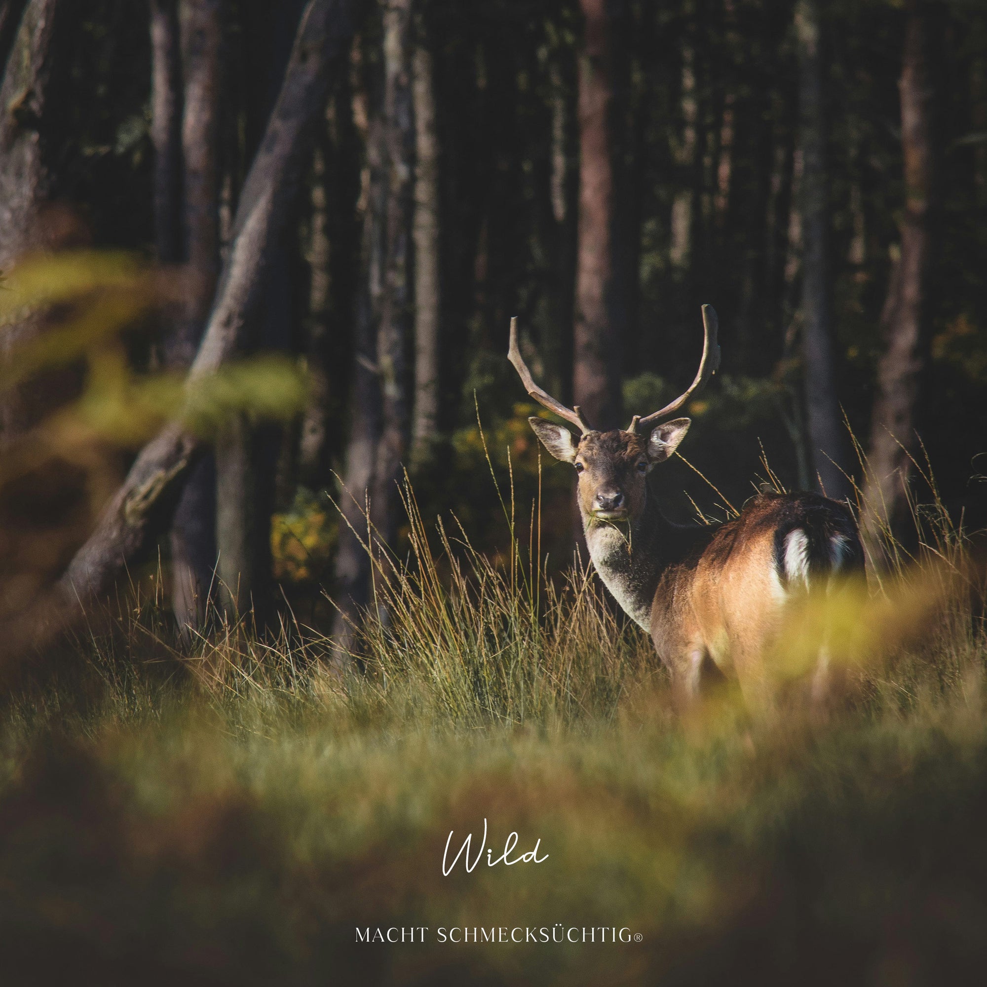 Alpine Waldkräuter by Vitus Winkler, 45 g Bos Food GmbH