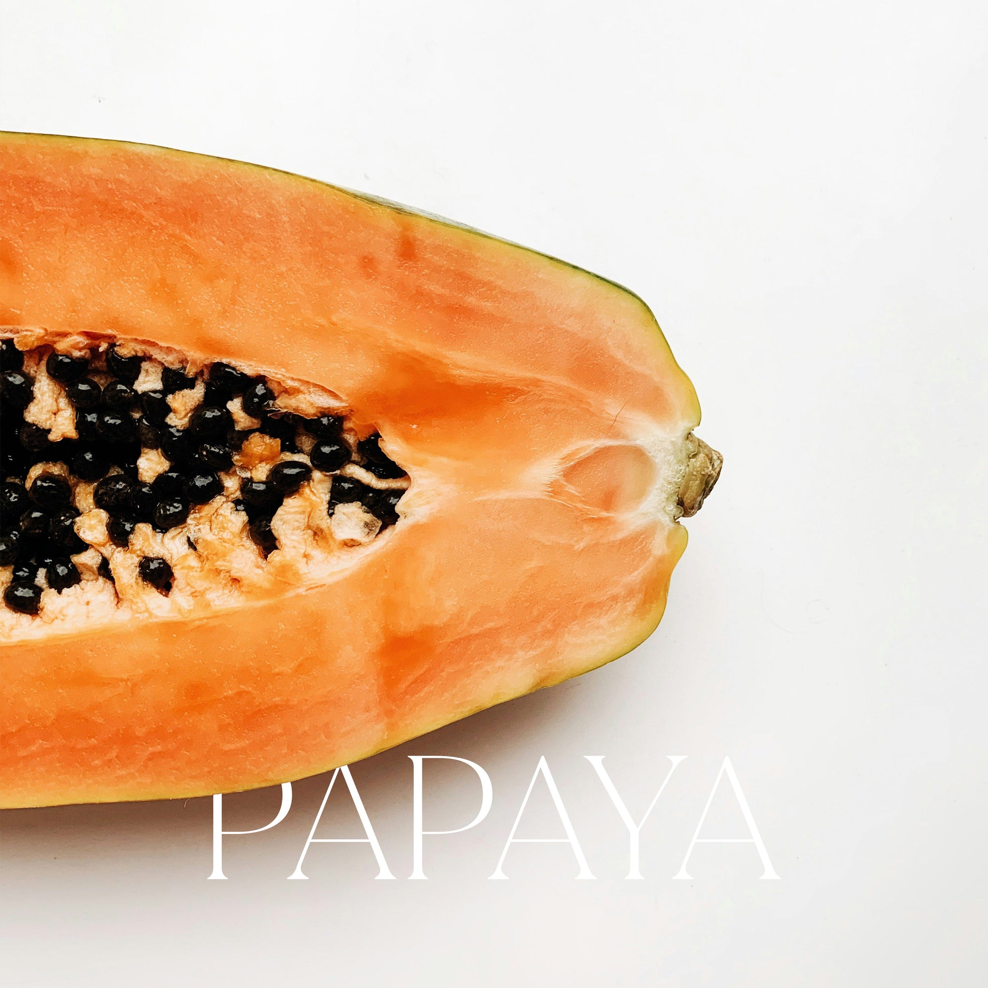 Hering in der Box - Papaya by Heiko Antoniewicz, 4-tlg. Set, tiefgefroren