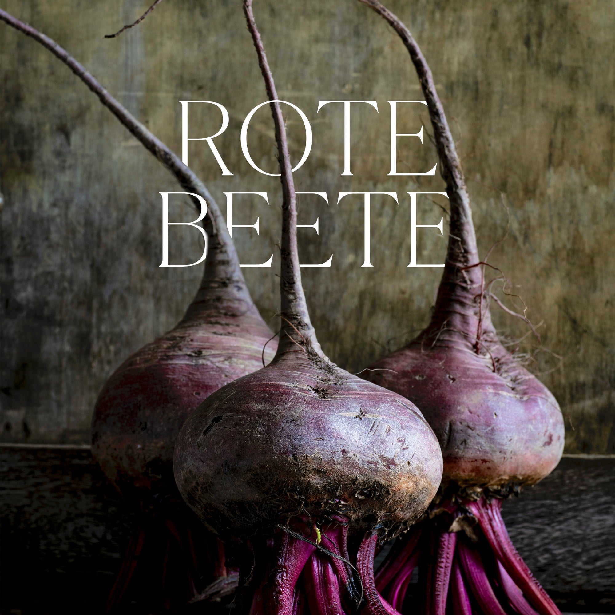 Hering in der Box - Rote Beete by Heiko Antoniewicz, 4-tlg. Set, tiefgefroren