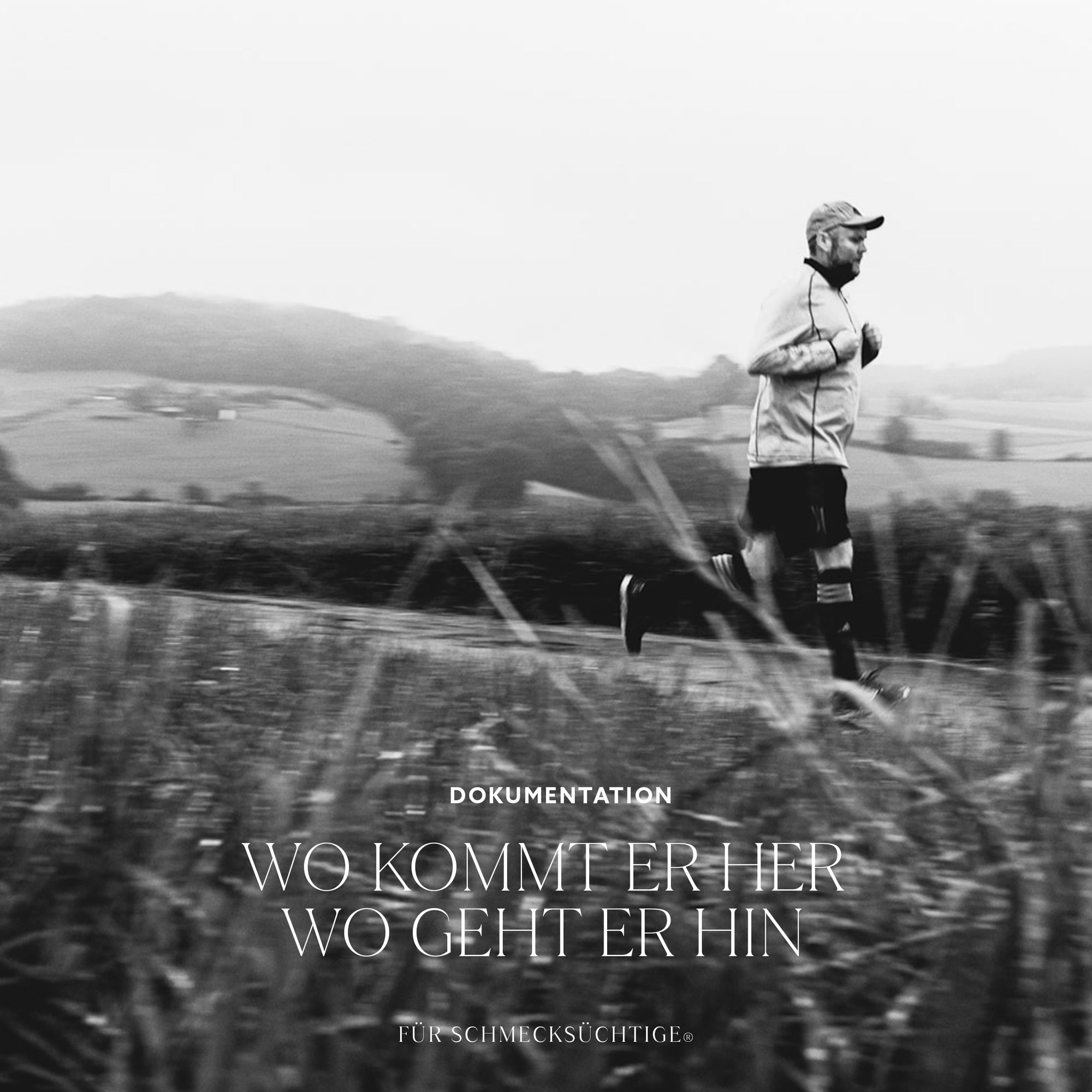 Stemberg: Das Kochbuch - Tradition trifft Moderne