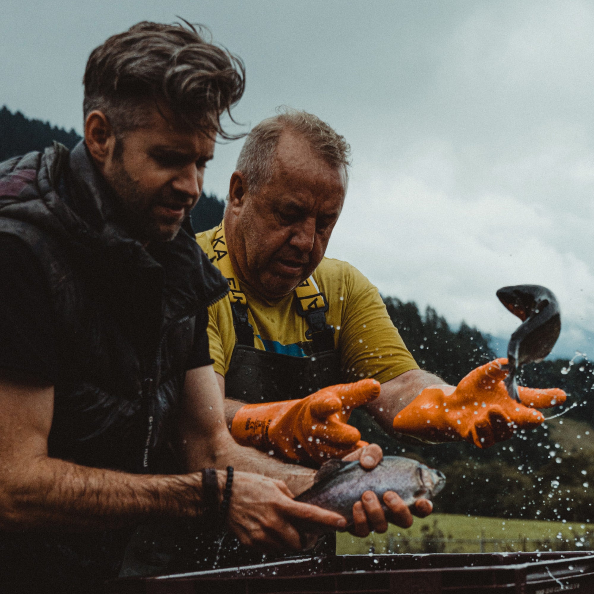 Alpine Sesammelange by Vitus Winkler, 70 g