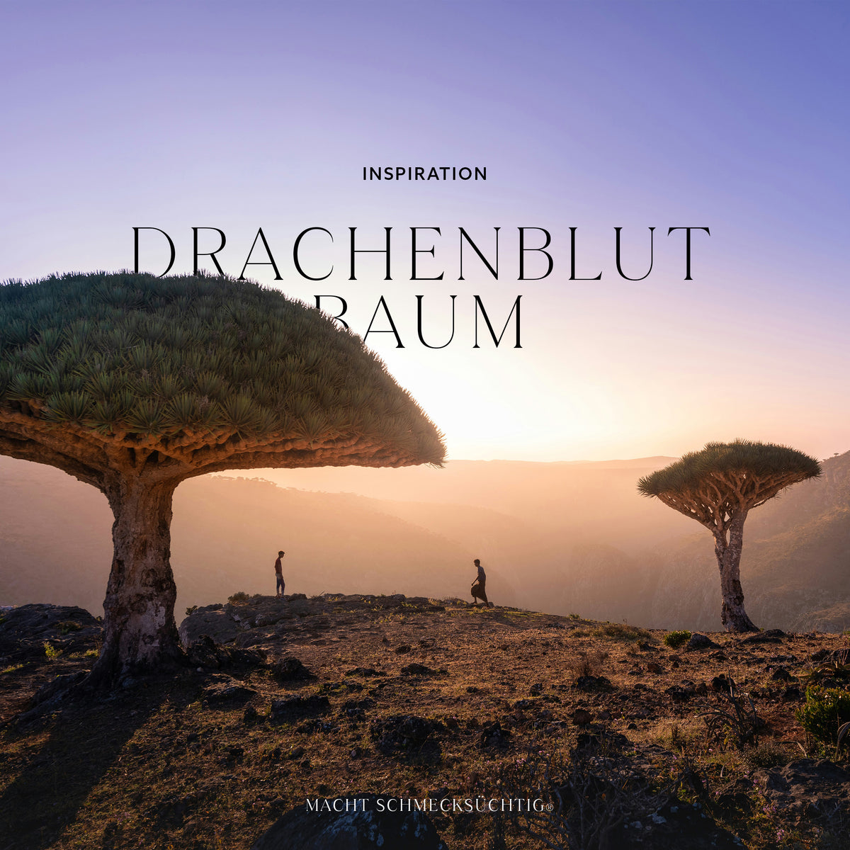 Drachenblut Salz by Heiko Antoniewicz, 100 g Bos Food GmbH