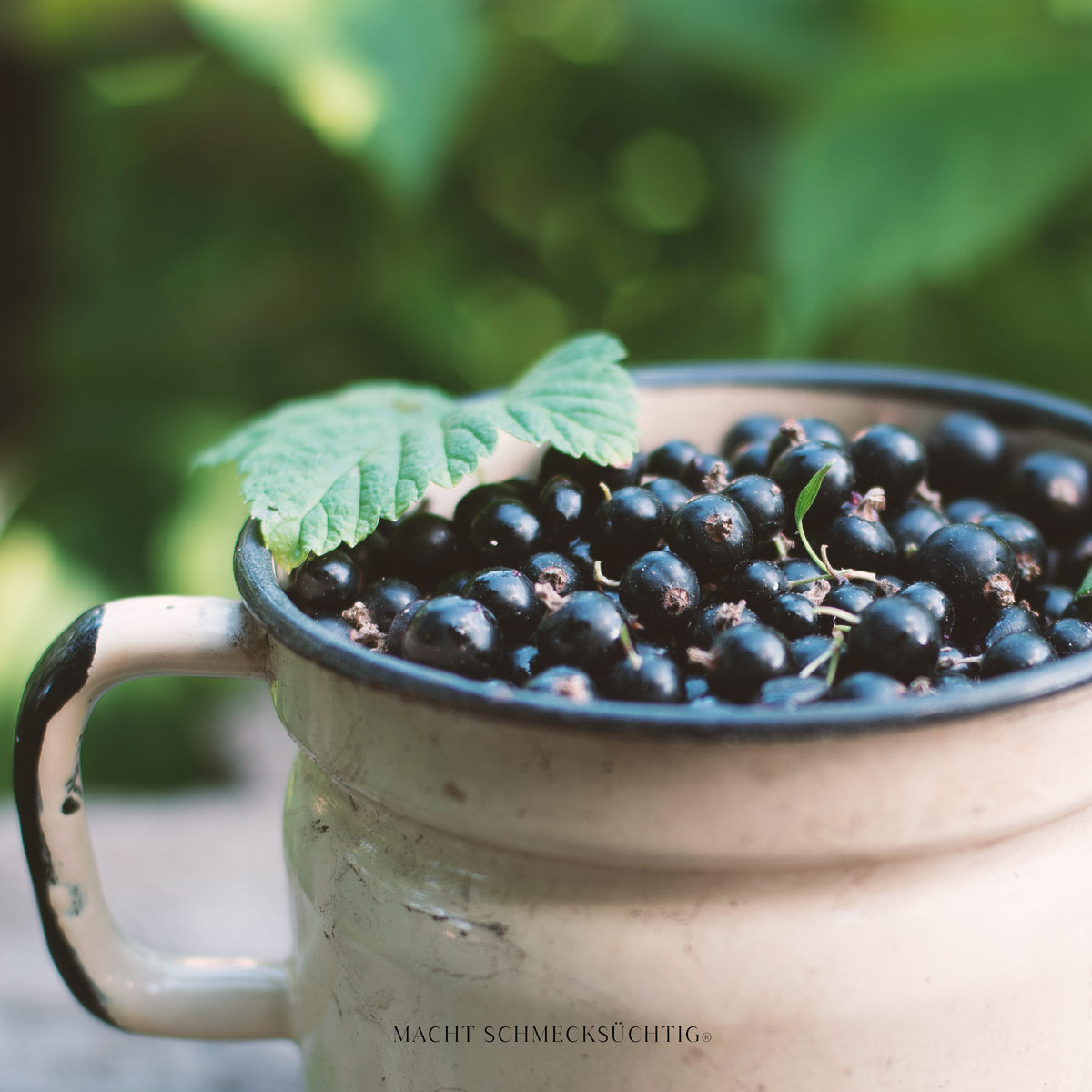 Chutney Cassis Portwein by Sascha Stemberg, 75 g Kirberg