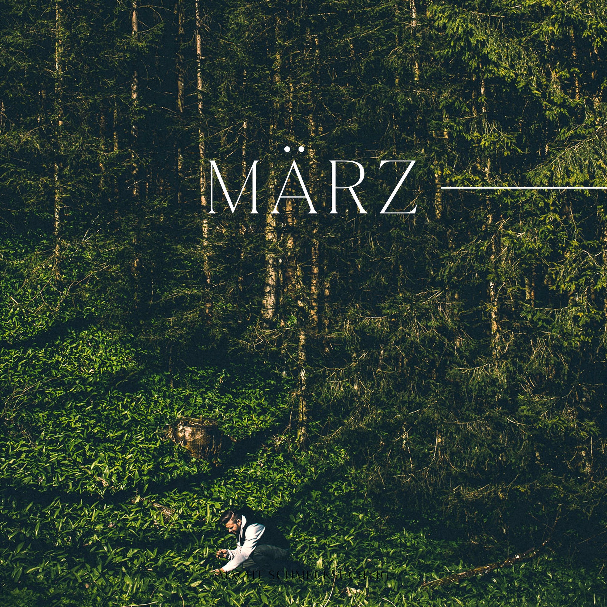 Bärlauch Bucheckern Salz by Vitus Winkler, 55 g Bos Food GmbH