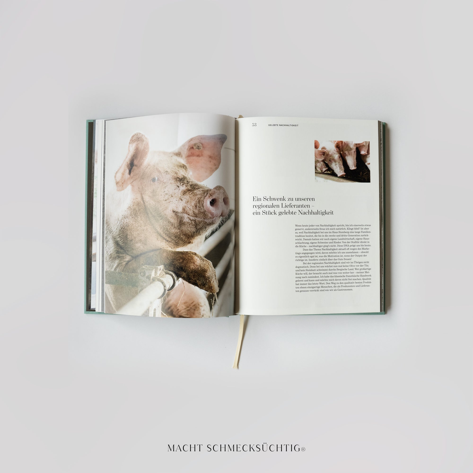 Stemberg: Das Kochbuch - Tradition trifft Moderne