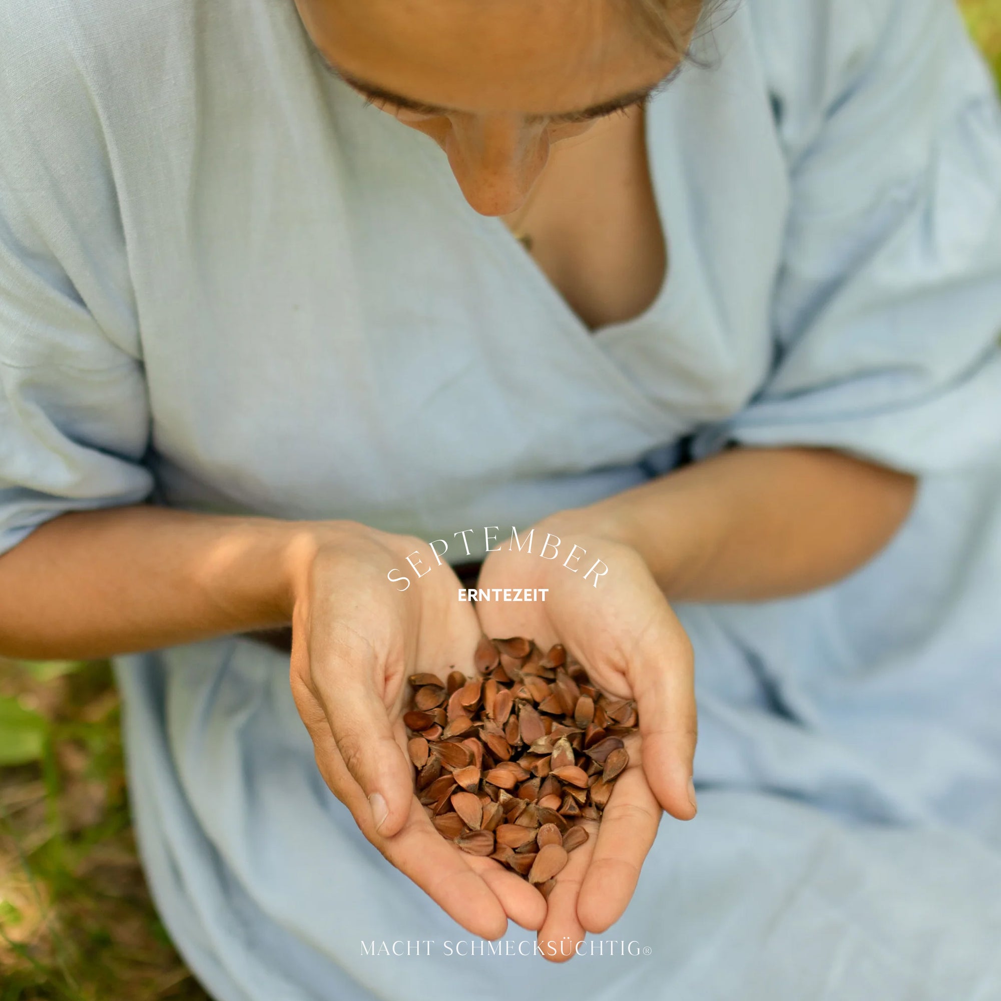 Bärlauch Bucheckern Salz by Vitus Winkler, 55 g Bos Food GmbH