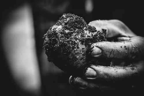 Entdecke Ihre Stärke